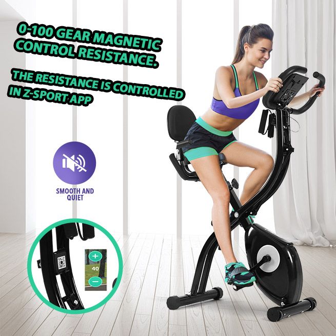 Birtech indoor exercise online bike